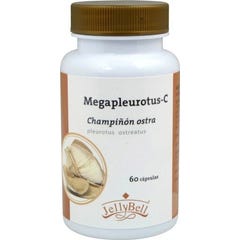 Auroshikha Jardin de la nature Cônes d'encens parfumés 20pcs