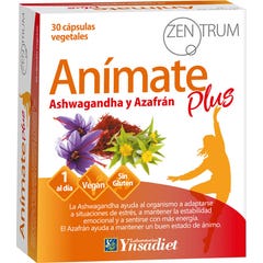 Zentrum Anímate Plus 30 unités
