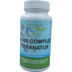 Tera Natur B-100 Complex 60caps