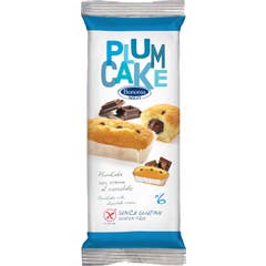 Gâteau aux prunes Dino Bononia Ciocc.6X45G