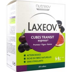 Laxeov Cubes Transit Manzana Albaricoque 20uds