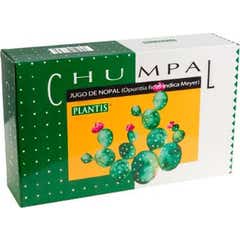 Plantis Chumpal Nopal Ampoules 20 Ampoules