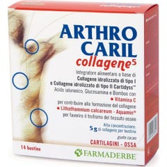 ARTHROCARYL COLLAGÈNE 14BUSTES