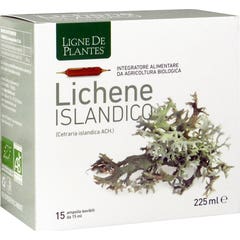 Ligne de Plantes Lichen d'Islande 15x15ml