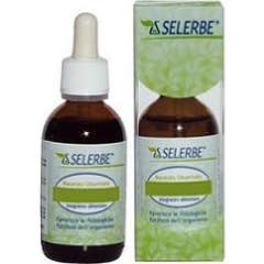 Selerbe Vaccinium Vitis Idaea Macérat Glycérique 50ml