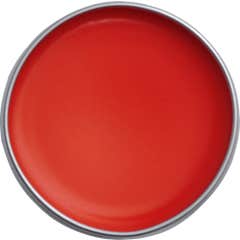 Thader Pharma Traitement pour les Lèvres Nutrilab avec Couleur 02 15 ml