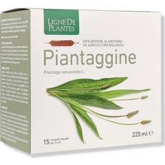 Ligne de Plantes Plantain 15x15ml