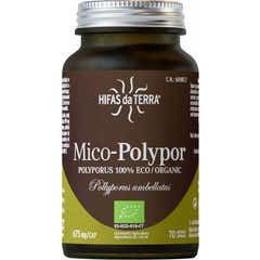 Hyphae Da Terra Mico Polypor 70Caps