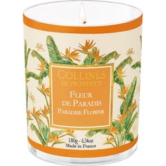 Collines de Provence Bougie Parfumée Fleur de Paradis 180g