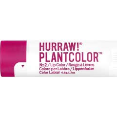 Hurraw! Plantcolor Lip Balm No2 4.8g