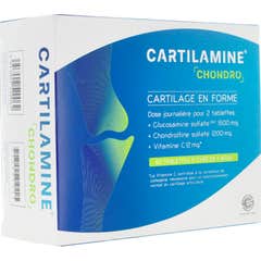 Cartilamine Chondro 60 Sachets