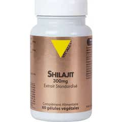 Vit'All+ Shilajit 300mg Extrait Standardisé 60caps