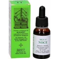 Alkaest Mgs11 Walnut Mg Spg 20 ml