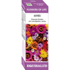 Fleurs de stress de la vie 15 Ml