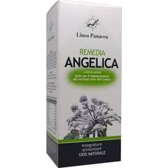 Linea Panacea Remedia Angelica 80caps