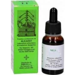 Alkaest Mgs9 Glycérine Macérat Marron d'Inde 20ml