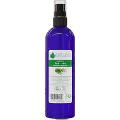Voshuiles Hydrolat Tea Tree Cosmos 100 ml