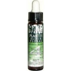 Plantis Remedy 4 Fears Insecurity 10ml