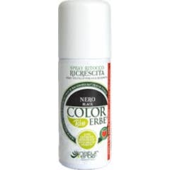 Color Erbe Retouching Spray Black 100ml