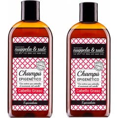 Shampooing pour cheveux gras Nuggela & Sulé Duplo 250ml