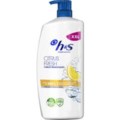 Head & Shoulders Citrus Fresh Shampooing Antipelliculaire Grass 1000 ml