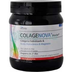 Colagenova Marine+ arôme pêche 275g