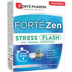 Forté Pharma Forté Zen Flash 10 Comprimés
