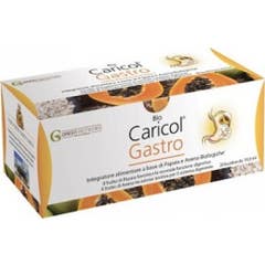 Green Remedies Bio Caricol Gastro 20 Sachets