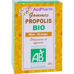Mathieu Labo Apipharm Gommes Propolis Miel Citron 45G