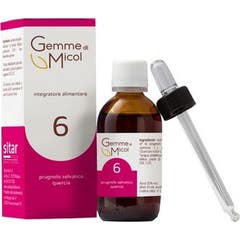 Sitar Bourgeons di Micol 6 30ml