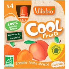 VitaBio Box avec 4 sachets de fruits biologiques avec pommes, pêches et abricots 4x90 g.
