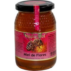 Miel de fleurs d'Hispamiel 500g