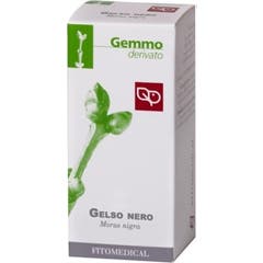 Fitomedical Mûrier Noir 100ml