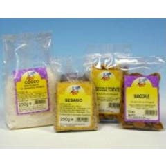 GRAINES DE TOURNESOL DEC 250G BIO