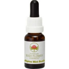 Fleurs de Vie Fleur de Bush Alpine Mint Bush 15ml