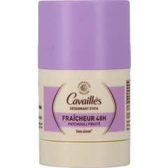 Cavaillès Déo Stick Freshness 48H Patchouli 50 ml
