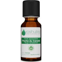Voshuiles Huile Essentielle Pruche du Canada Tsuga 2 ml