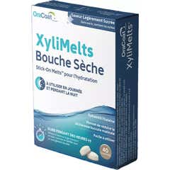 XyliMelts Bouche Sèche Légèrement Sucrée Sans Sucre 40 Comprimés