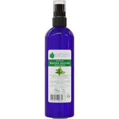 Voshuiles Hydrolat Menthe Poivrée Cosmos 200 ml