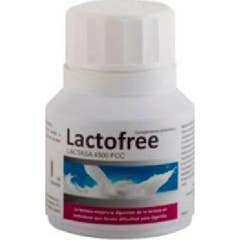 Bluecube Lactofree 60caps