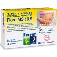 Specchiasol Ferzym Flore Ms 10.9 40 Gélules