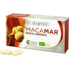 Casquette Marnys Macamar 60 Capuchon Casquette Marnys Macamar 60 Capuchon