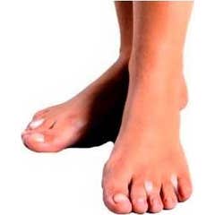 Pine Laboratories Separadedos Espum Gd 2U