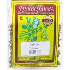 Herbofarma Valeriana Al Vacio 50 G *