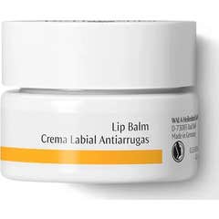 Dr Hauschka Crème anti-rides pour les lèvres 4,5ml