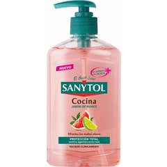 Distributeur de savon de cuisine antibactérien Sanytol 250ml