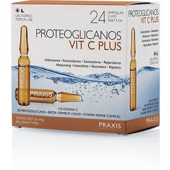 Praxis Proteoglicanos Vit C Plus 6x2ml