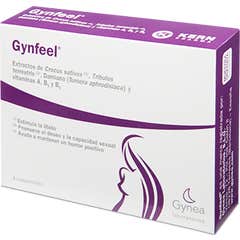 Dermoprog Ginefeel Lavanda Vaginal 140ml