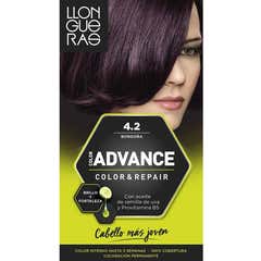 Teinture pour cheveux Llongueras Color Advance N4.2 Burgundy1ud