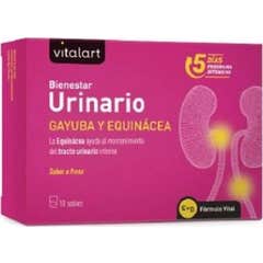Vitalart Vitalart Bienestar Urinario 10 Sobres
